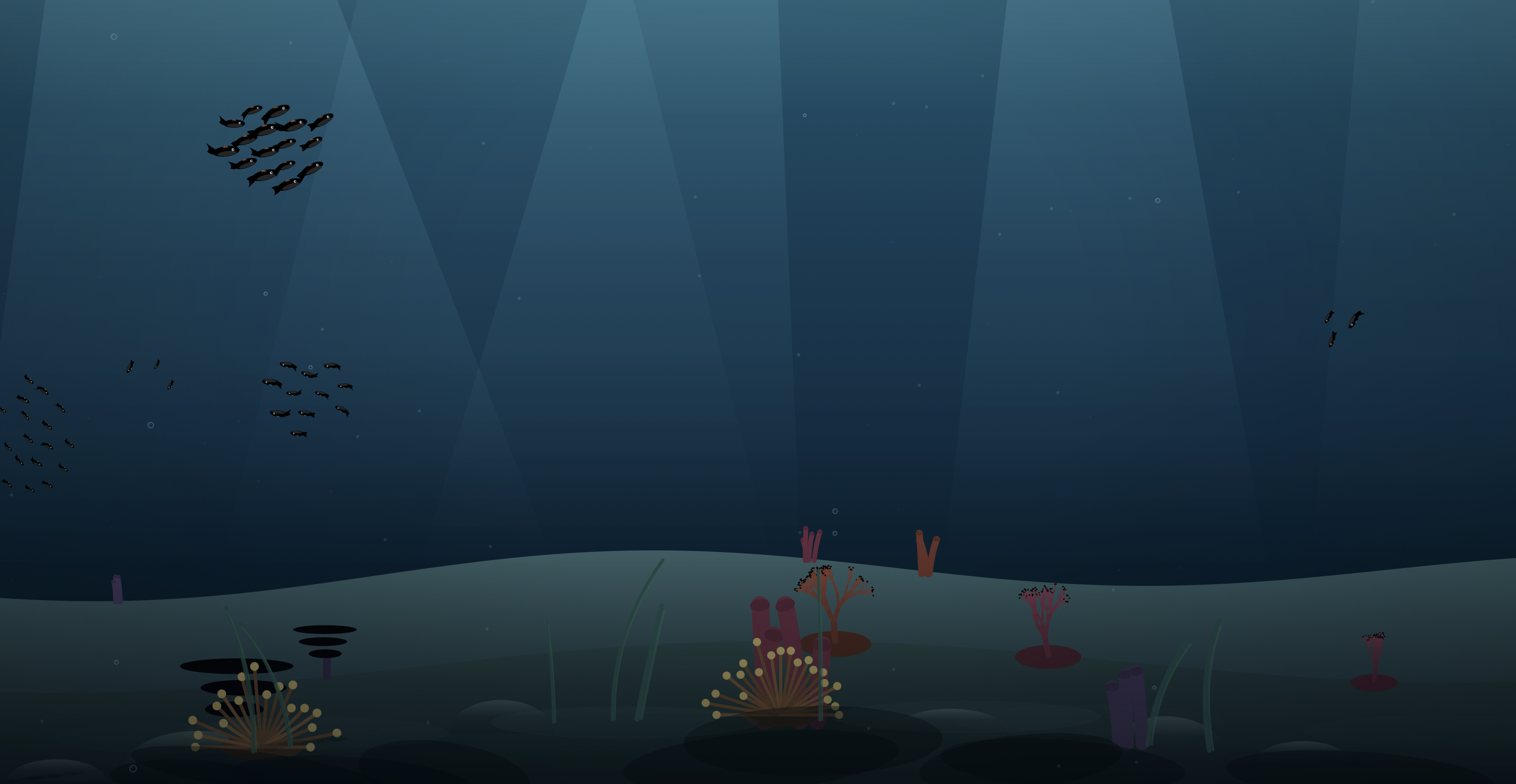 The reef: black fish silhouettes drifting between pale light beams, over corals and kelp on a shaded sandy bottom.